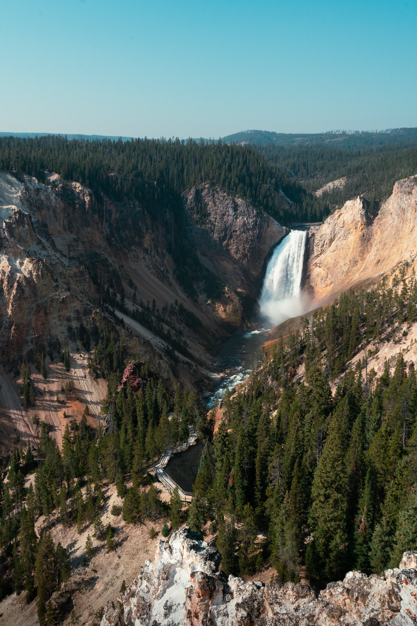 Yellowstone Falls