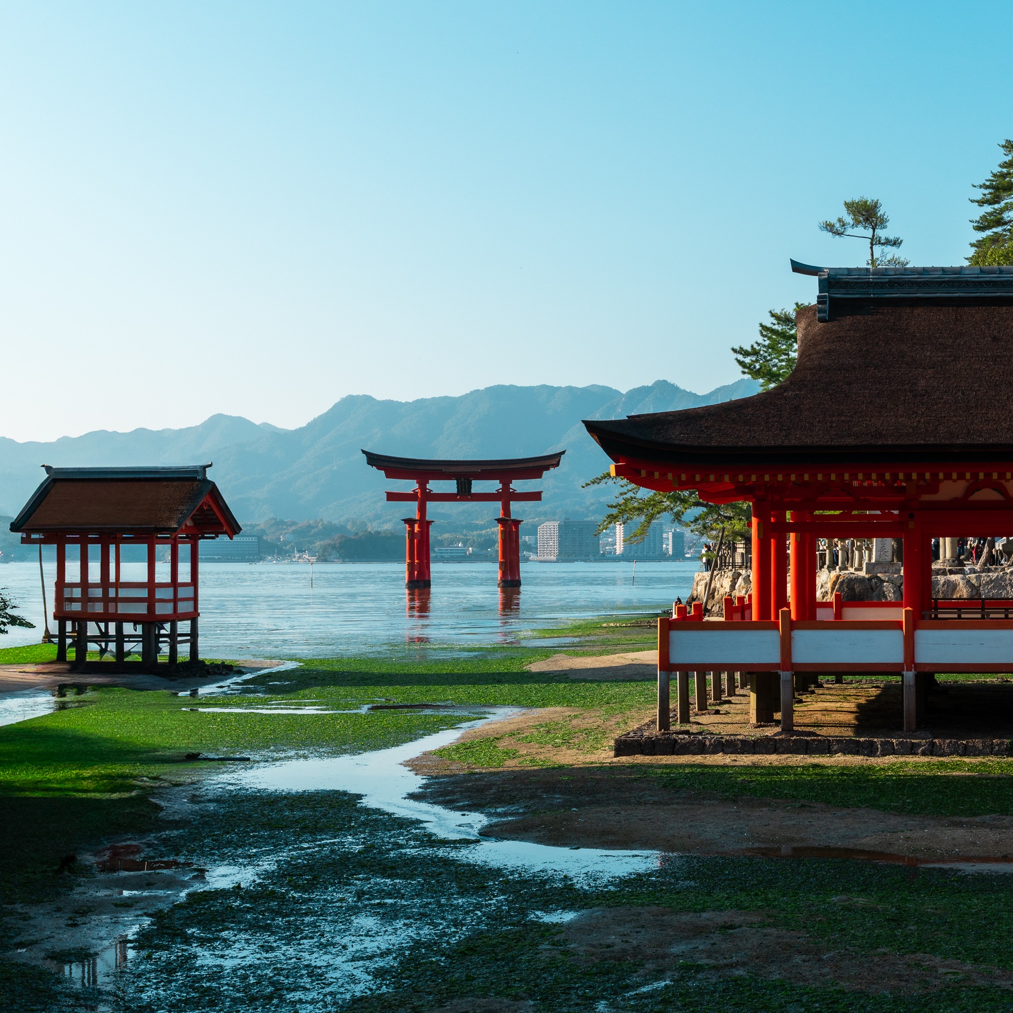 A red torii gate and shrine buildings stand along the tidal shoreline at Itsukushima Shrine on Miyajima, Japan.